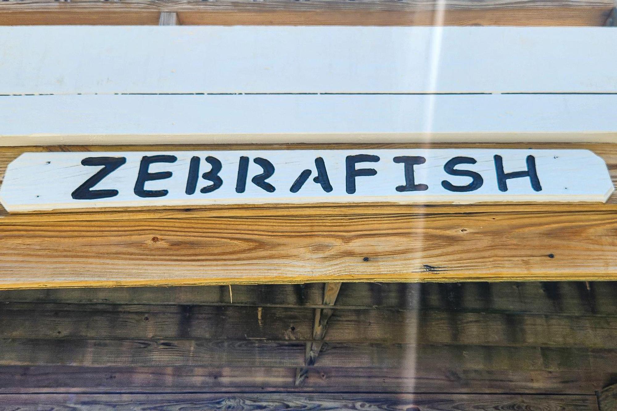 Yellowfin & Zebrafish Μπάξτον Δωμάτιο φωτογραφία